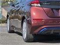 2021 Nissan Leaf