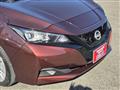 2021 Nissan Leaf