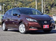 2021 Nissan Leaf