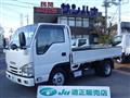 2019 Isuzu Elf Truck