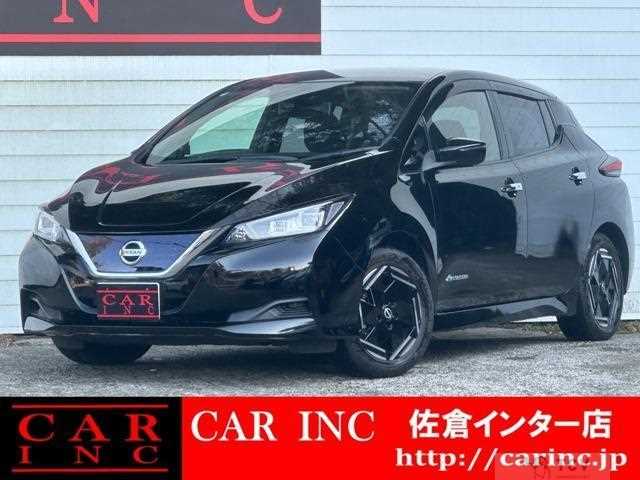 2020 Nissan Leaf