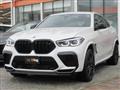2025 BMW X6