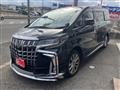 2020 Toyota Alphard G