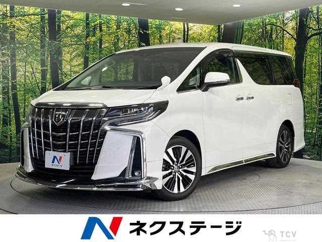 2019 Toyota Alphard G