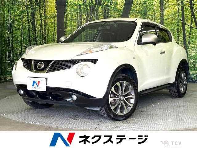2013 Nissan Juke