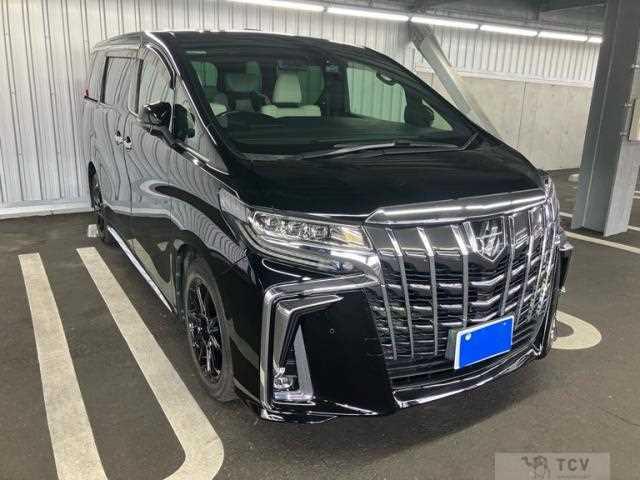 2019 Toyota Alphard G