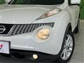 2013 Nissan Juke