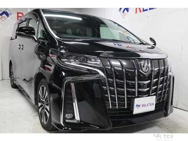 2019 Toyota Alphard G