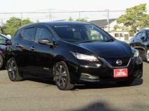 2019 Nissan Leaf