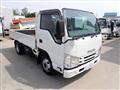 2018 Isuzu Elf Truck