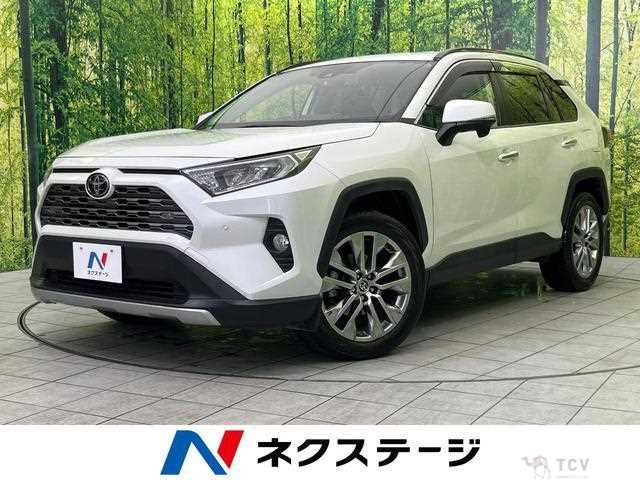 2020 Toyota RAV4
