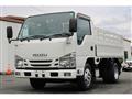 2018 Isuzu Elf Truck