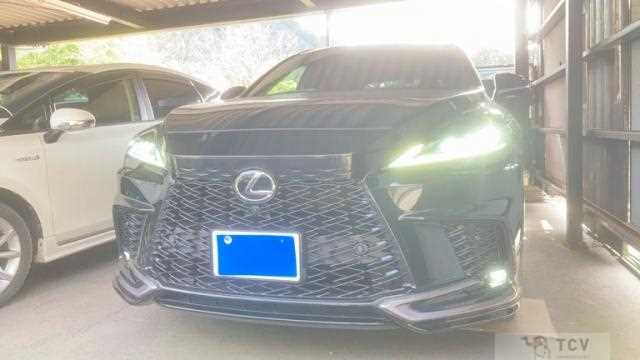 2024 Lexus RX