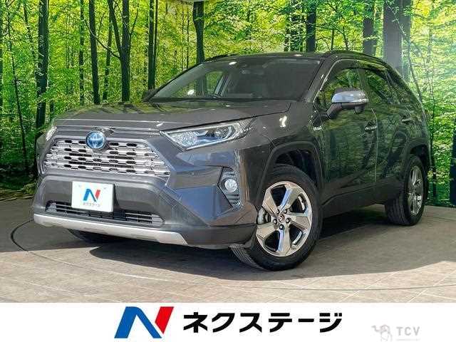 2019 Toyota RAV4