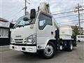 2017 Isuzu Elf Truck