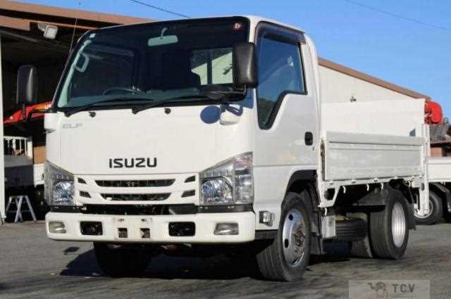 2017 Isuzu Elf Truck