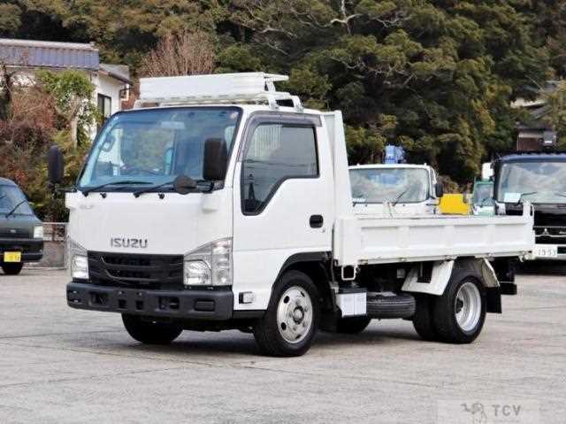 2019 Isuzu Elf Truck
