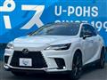 2025 Lexus RX