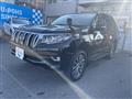 2019 Toyota Land Cruiser Prado