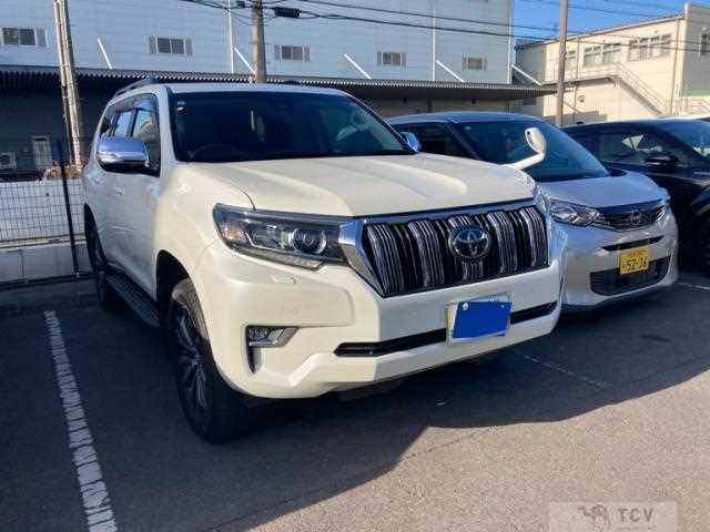 2019 Toyota Land Cruiser Prado
