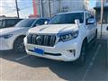 2019 Toyota Land Cruiser Prado