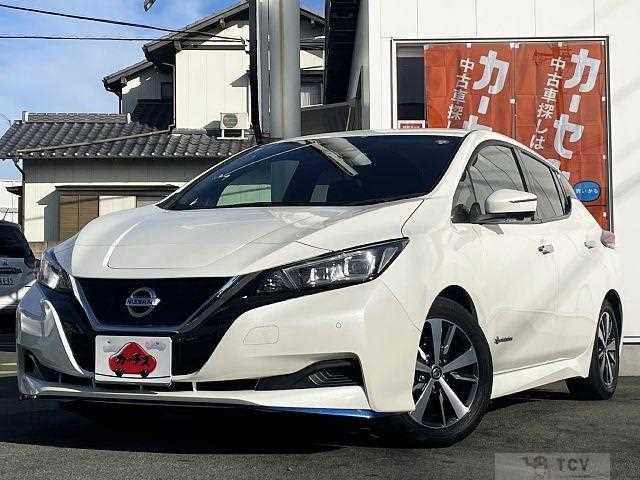 2019 Nissan Leaf