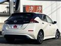 2019 Nissan Leaf