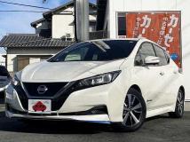 2019 Nissan Leaf