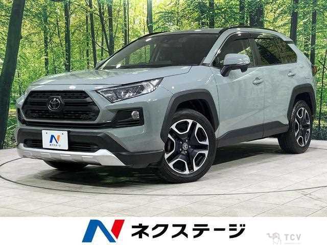 2019 Toyota RAV4