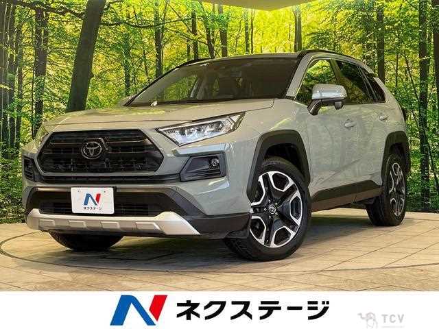 2019 Toyota RAV4