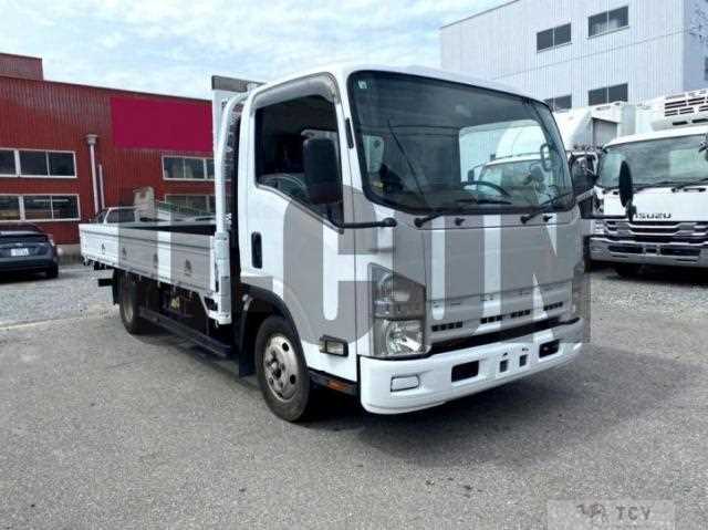 2009 Isuzu Elf Truck