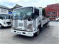 2009 Isuzu Elf Truck