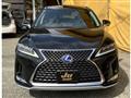 2019 Lexus RX