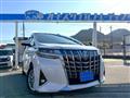 2019 Toyota Alphard G
