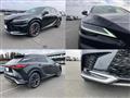 2025 Lexus RX