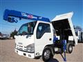 2013 Isuzu Elf Truck