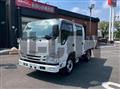 2018 Isuzu Elf Truck