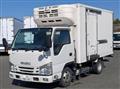 2019 Isuzu Elf Truck