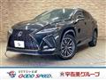 2019 Lexus RX