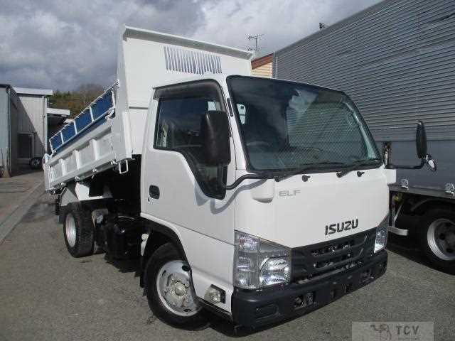 2017 Isuzu Elf Truck
