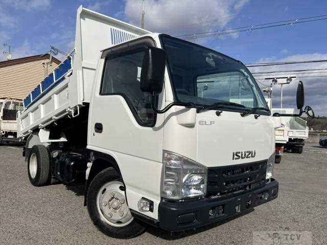 2017 Isuzu Elf Truck