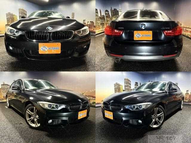 2015 BMW BMW Others