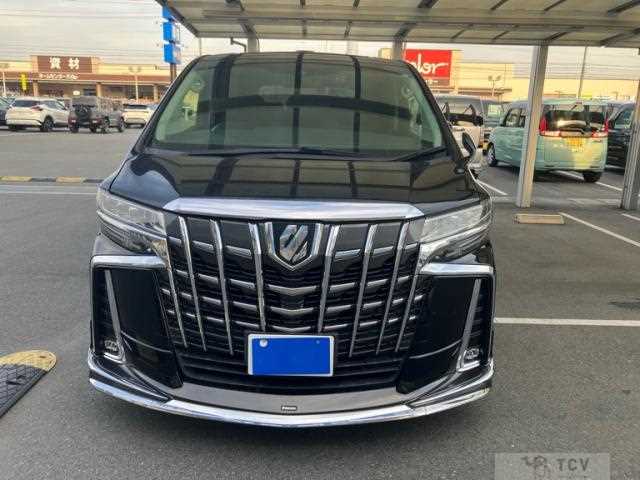 2019 Toyota Alphard G
