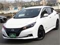 2023 Nissan Leaf