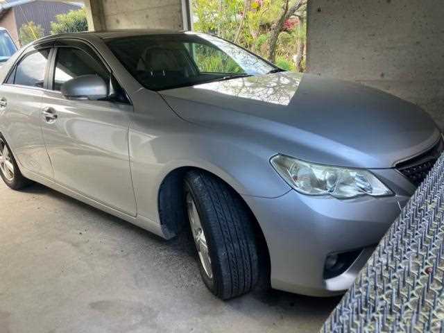 2010 Toyota Mark X