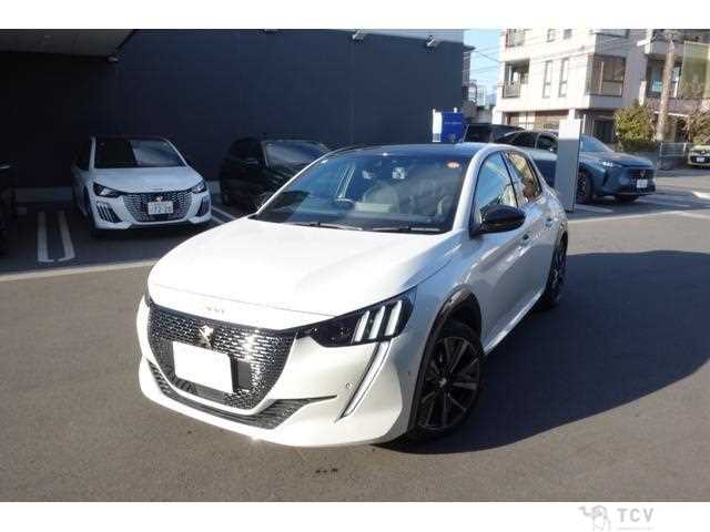 2023 Peugeot Peugoet Others