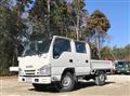 2017 Isuzu Elf Truck