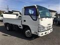 2017 Isuzu Elf Truck