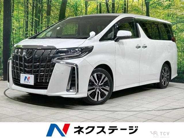 2019 Toyota Alphard G