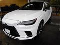 2025 Lexus RX